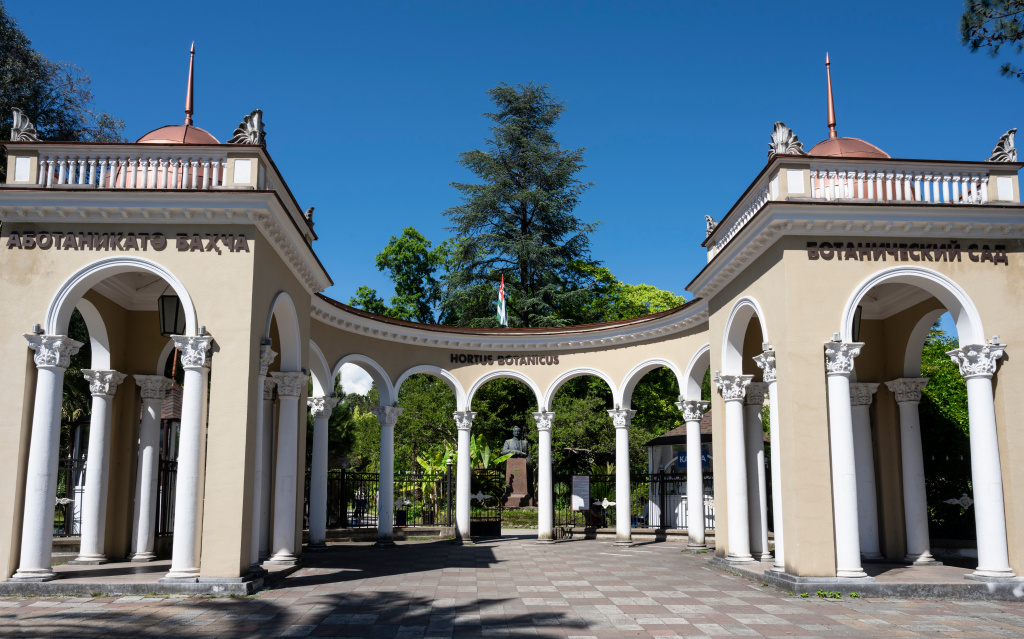 Сухумский ботанический сад Абхазия
