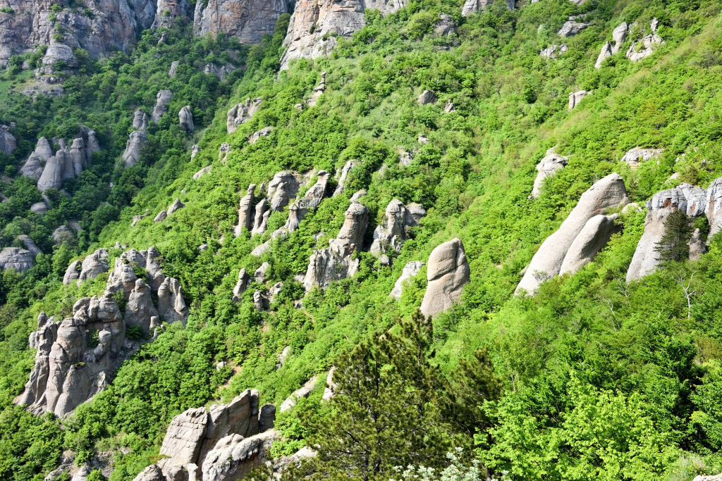 Зеленые валуны в г. Алушта