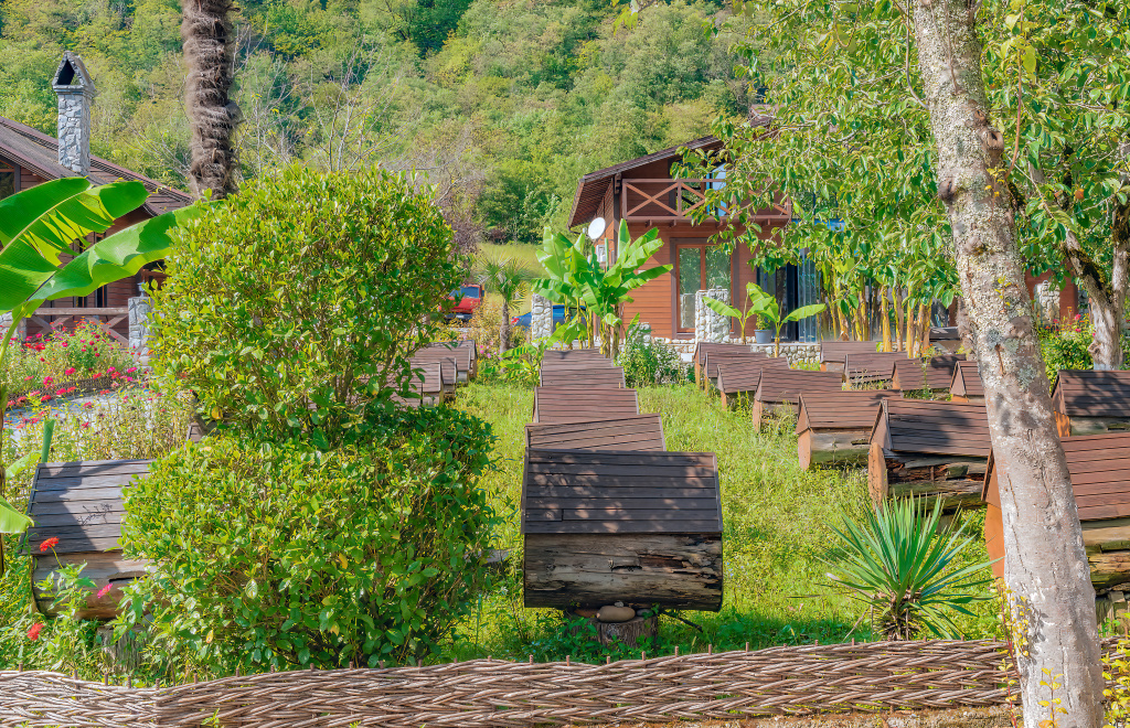 Медовый двор в Гагре Абхазия Медовый двор в Гагре Абхазия