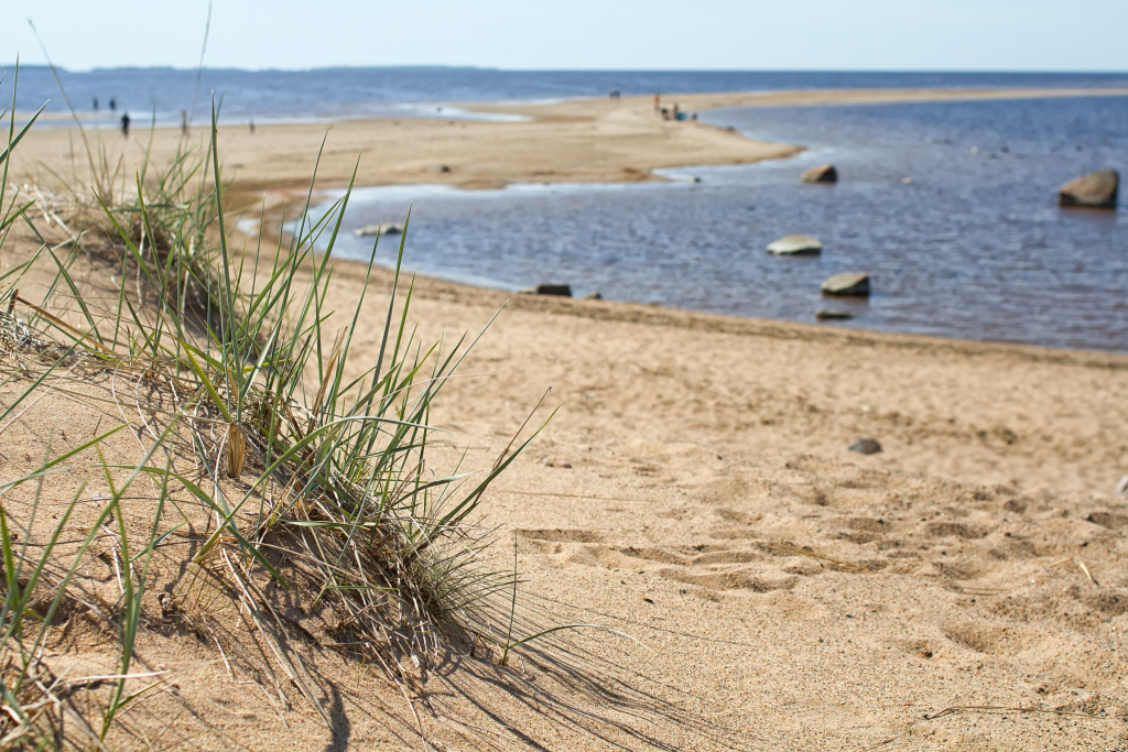 Песчаная дюна на пляже в Калайоки, Финляндия