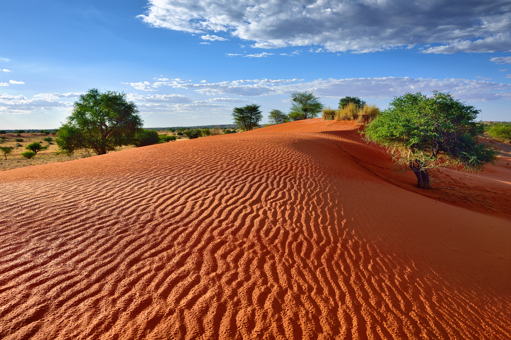 Невероятные краски пустыни Калахари в ЮАР