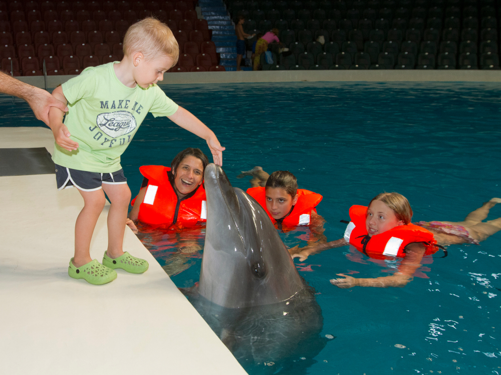 Малыши могут контактировать с дельфинами в Dolphin Bay